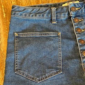 We the Free - Free People Denim Button Front Shorts